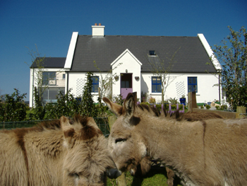Clondanagh Cottage B&B, 
Clondanagh, 
Tulla, 
Co. Clare,
Irlande