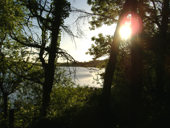 Clondanagh Cottage B&B, 
Clondanagh, 
Tulla, 
Co. Clare,
Irlande
