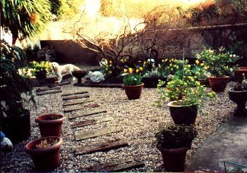 Colette Carter B&B,
32 Annesley Park,
Ranelagh,
Dublin 6