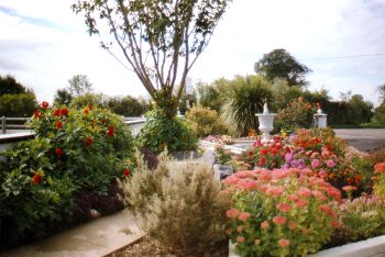 Ashgrove House B&B, 
Ballybunion Road, 
Listowel, 
Co. Kerry,
Ireland
 