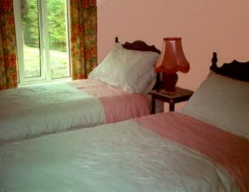 Cesh Corran Bed & Breakfast,
Abbey Terrace,
Boyle,
Co. Roscommon,
Irlande