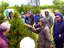 Members discussing lodgepole pine
shearing methods at an
ICTG field day