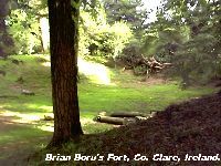 Brian Boru's Fort, Co. Clare.