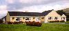 Wayside B&B,
Gap of Dunloe,
Killarney, 
Co. Kerry,
Irlanda.