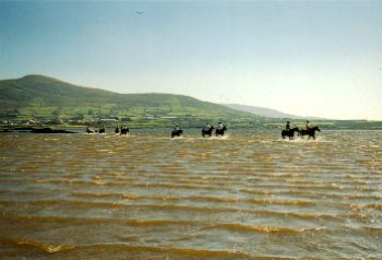 The Final Furlong B&B,
Cahirciveen,
Co. Kerry,
Irlanda