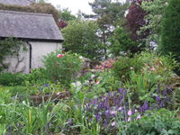 Kilkea Lodge Farm Bed & Breakfast, 
Castledermot, 
Co. Kildare,
Ireland