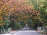 Kilkea Lodge Farm Bed & Breakfast, 
Castledermot, 
Co. Kildare,
Ireland