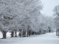 Kilkea Lodge Farm Bed & Breakfast, 
Castledermot, 
Co. Kildare,
Ireland