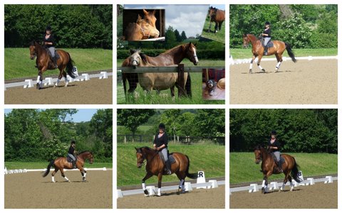 Kilkea Lodge Farm Livery & Stables, 
Castledermot, 
Co. Kildare,
Ireland