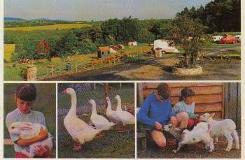 Nore Valley Park, 
Caravan and Camping Accommodation, 
Bennettsbridge, 
Co. Kilkenny.