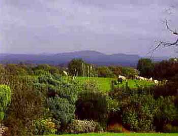 Toberphelim House B&B, 
Granard, 
Co. Longford,
Ireland.
 