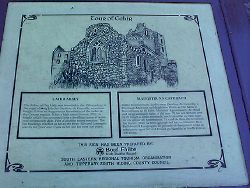 Cahir Abbey,
Cahir,
Co. Tipperary,
Ireland.