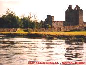 Cahir Abbey, Cahir, Co. Tipperary