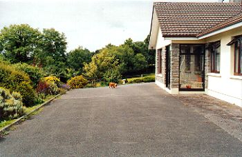 Hollymount House, 
Upper Cahir Abbey, 
Cahir, 
Co. Tipperary.
 