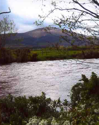 Ballyboy House B&B, 
Ballyboy, 
Clogheen Rd, 
Cahir, 
Co. Tipperary.
Irlanda 